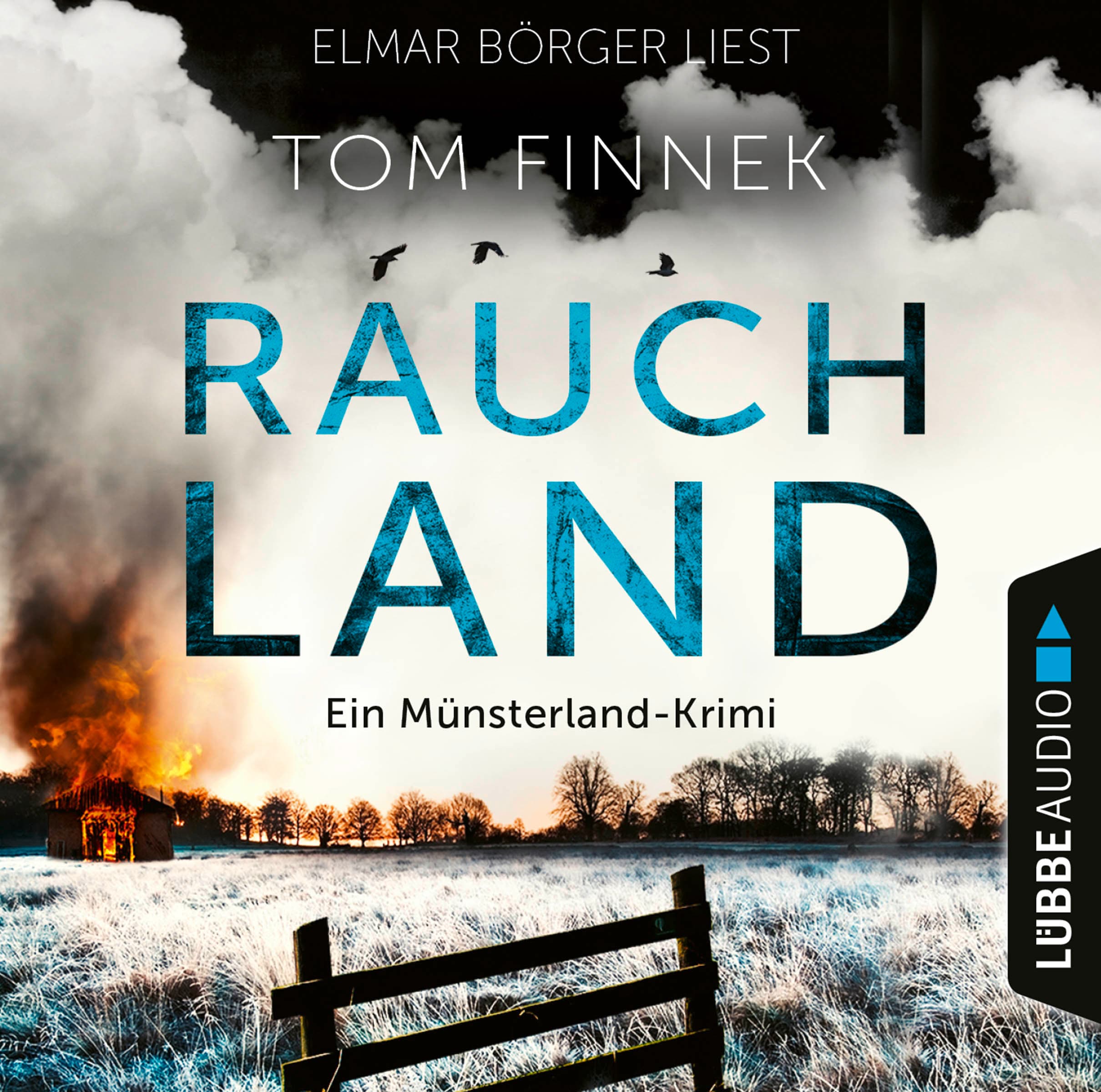 Produktbild: Rauchland (9783838799155 )
