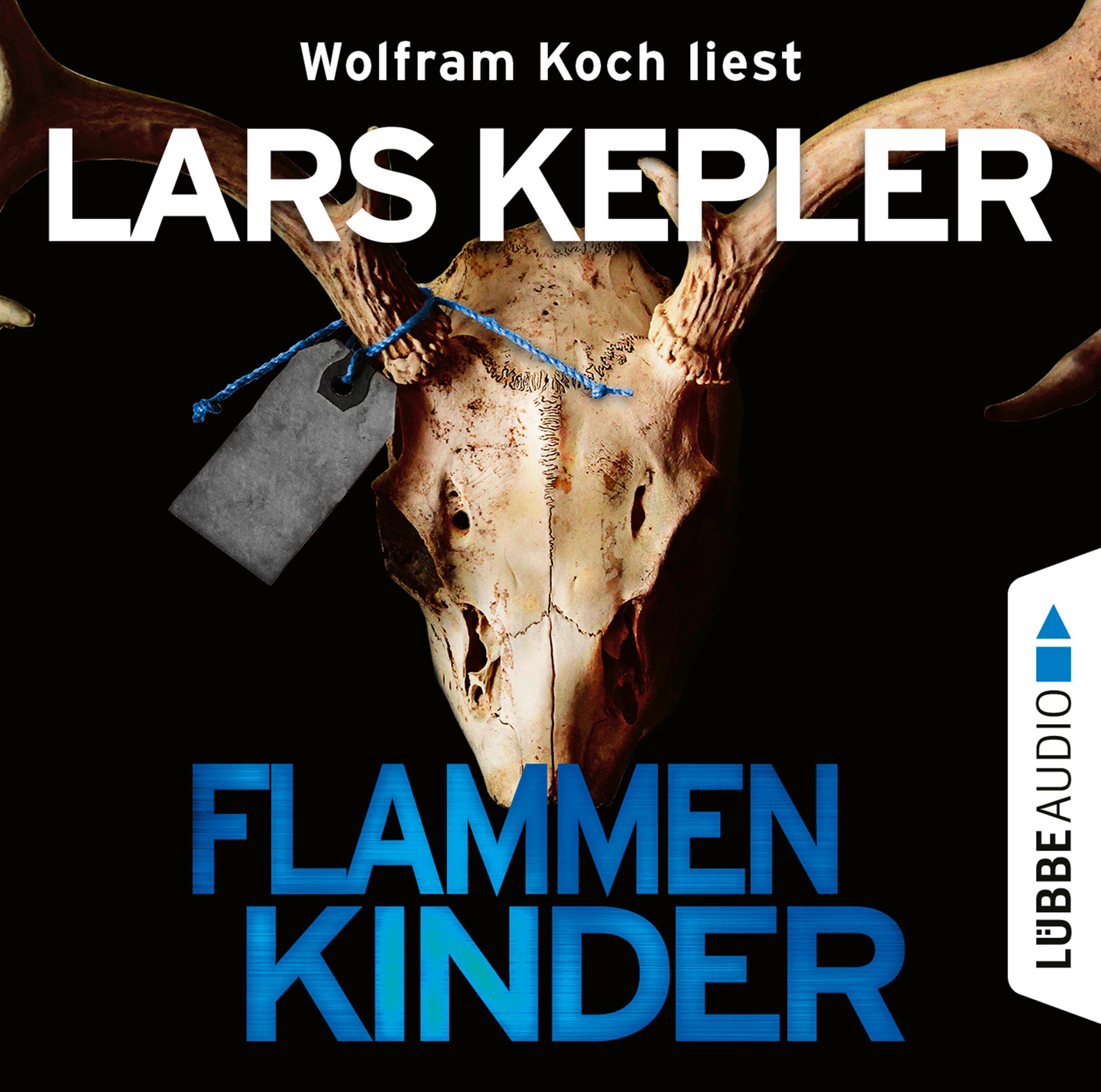 Produktbild: Flammenkinder (9783838770604 )