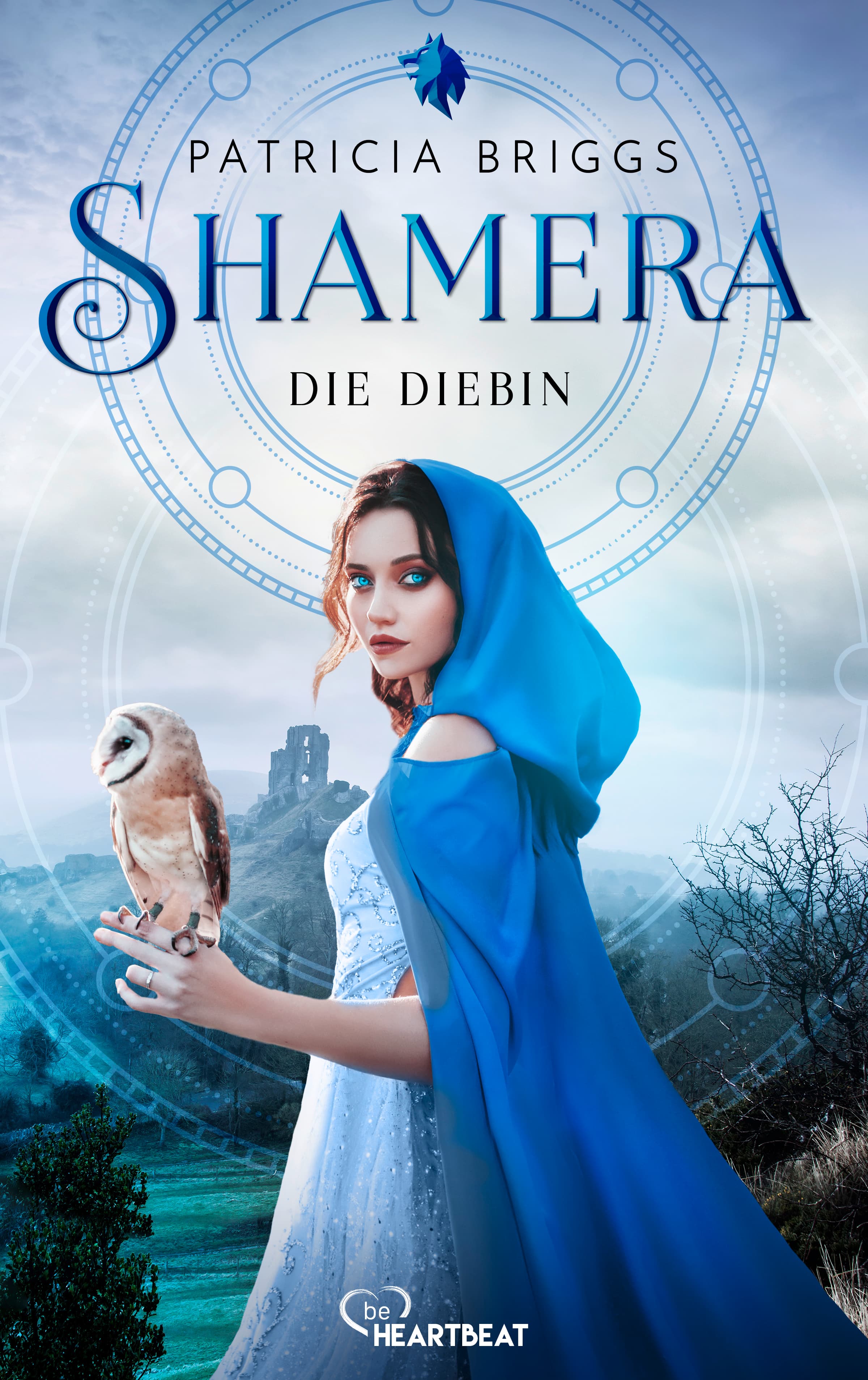 Produktbild: Shamera - Die Diebin (9783751743198 )