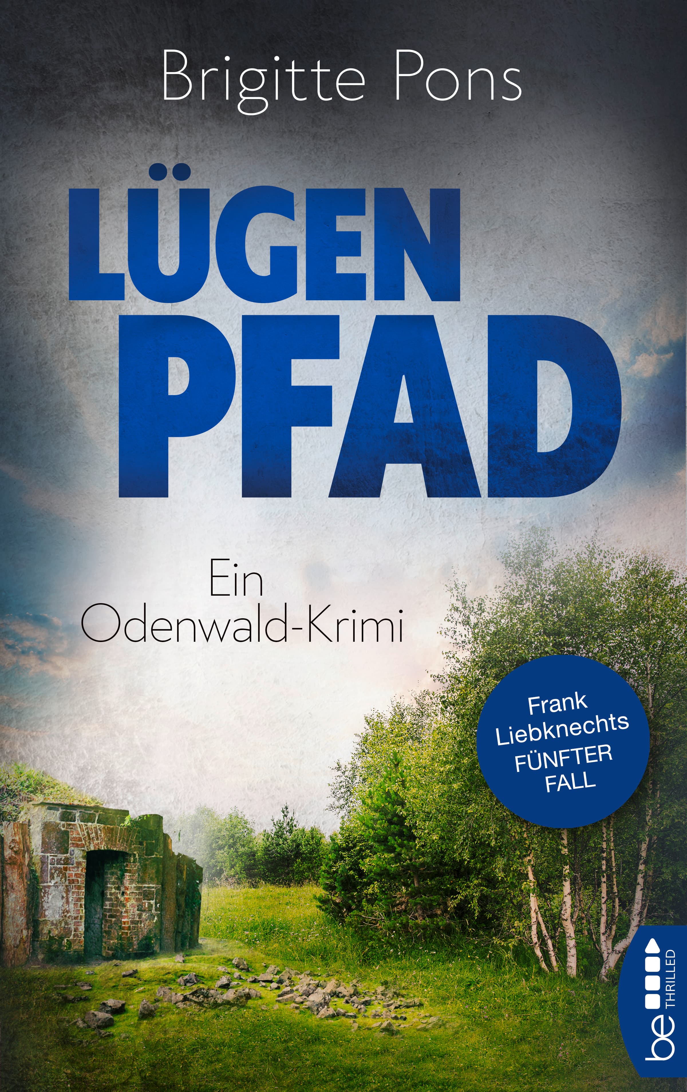 Produktbild: Lügenpfad (9783732588268 )