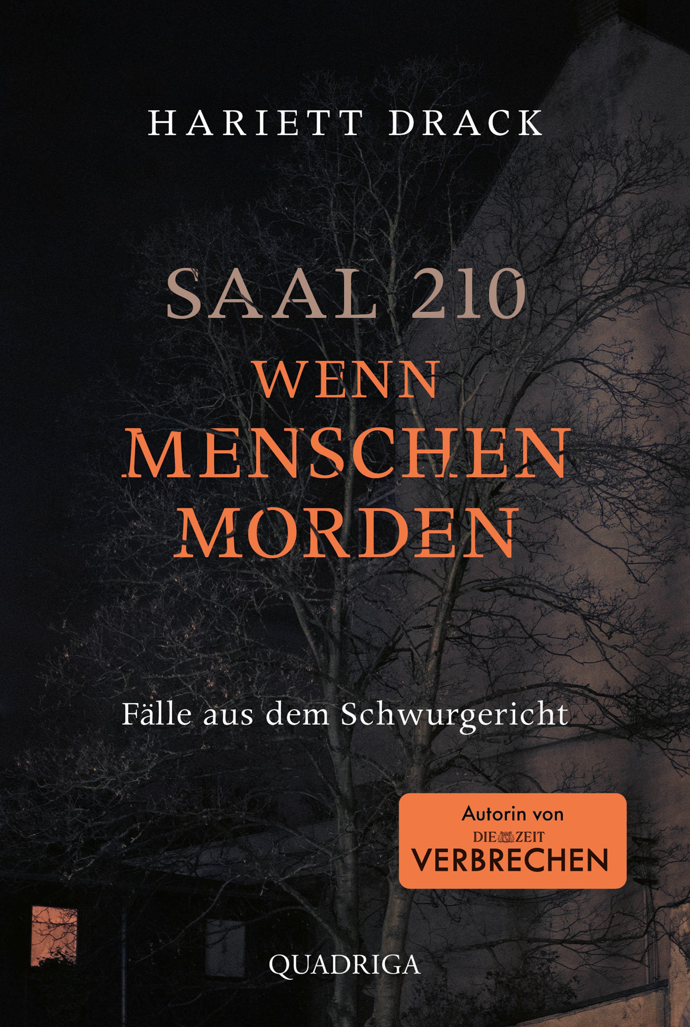 Produktbild: Saal 210 - Wenn Menschen morden (9783404070138 )