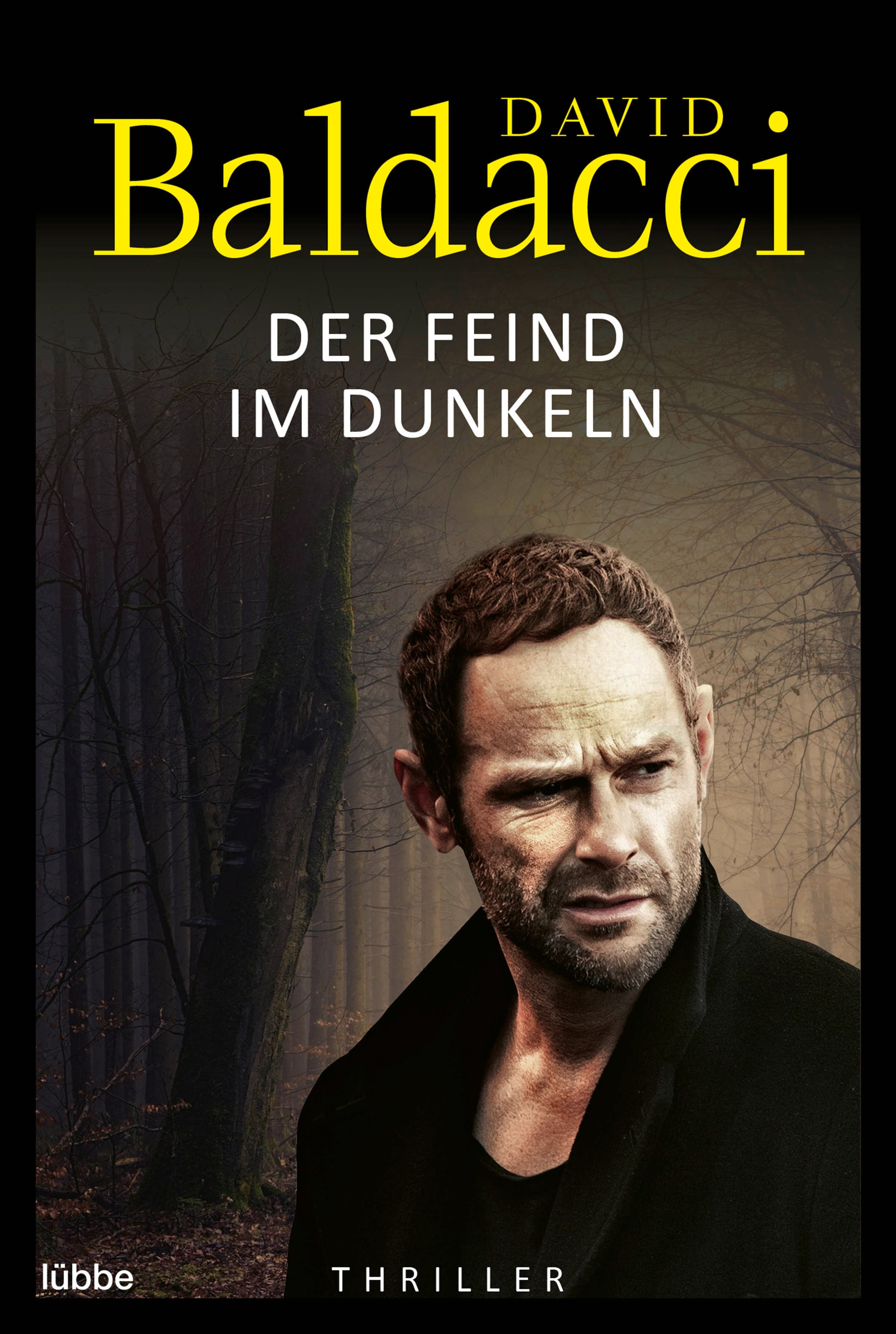 Produktbild: Der Feind im Dunkeln (9783732563241 )