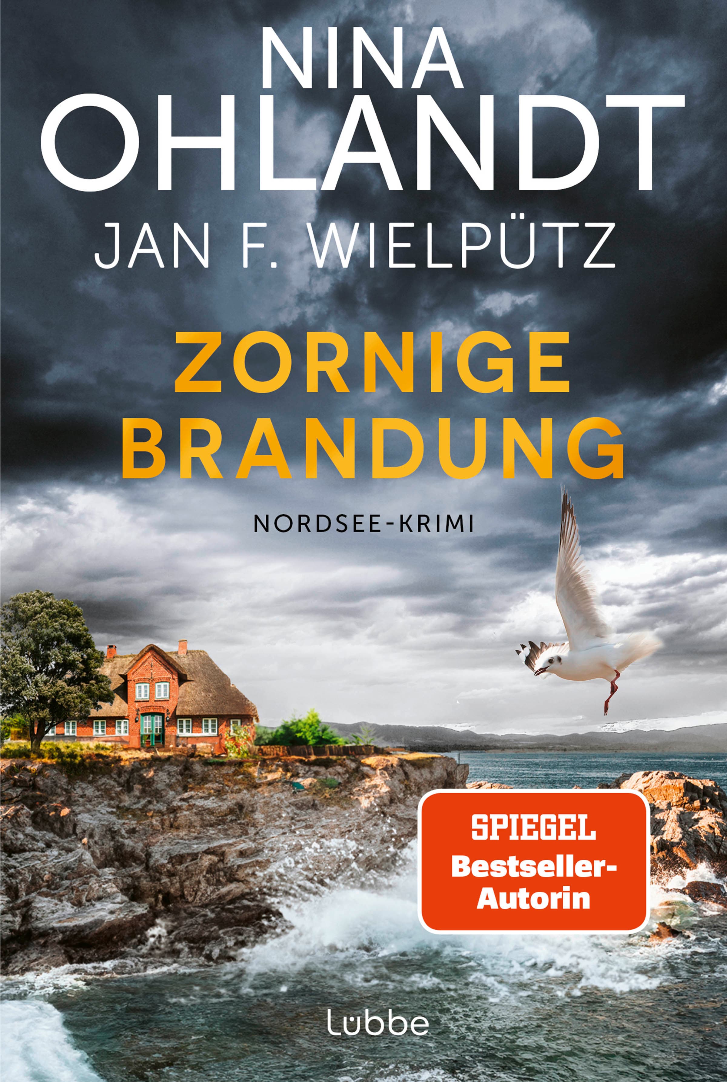 Produktbild: Zornige Brandung  (9783404193912 )